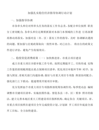 加强扎实稳住经济指导协调行动计划.docx