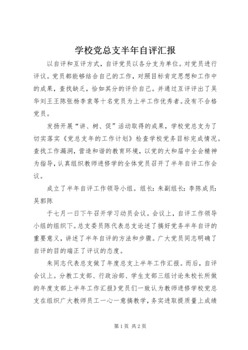 学校党总支半年自评汇报.docx