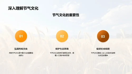 解析夏至的科学与文化