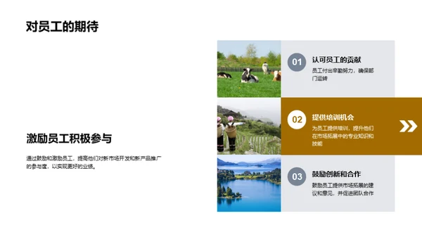 市场拓展部门成就回顾