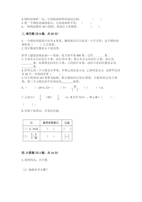 重庆市奉节县六年级下册数学期末测试卷精选答案.docx