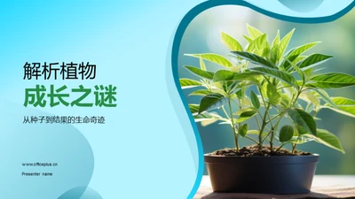 解析植物成长之谜