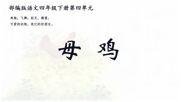 母鸡 第五稿