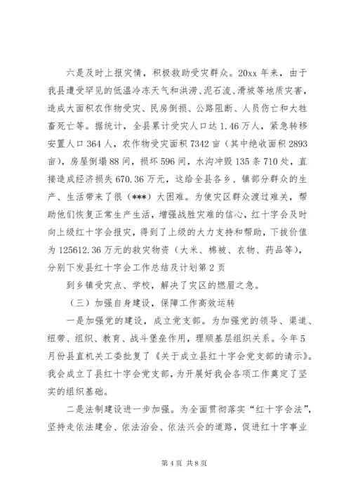 6县红十字会工作总结及计划.docx