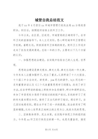 城管自我总结范文.docx