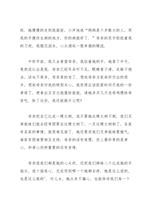 重阳节优秀征文范文（5篇）.docx