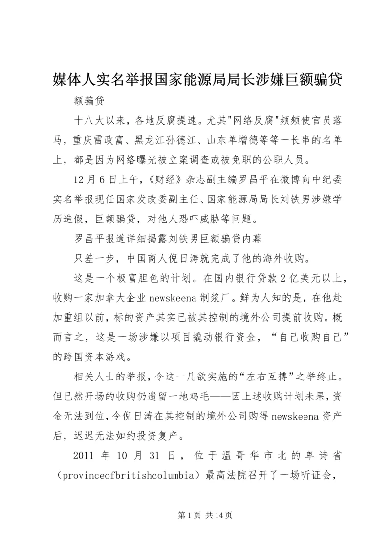 媒体人实名举报国家能源局局长涉嫌巨额骗贷.docx