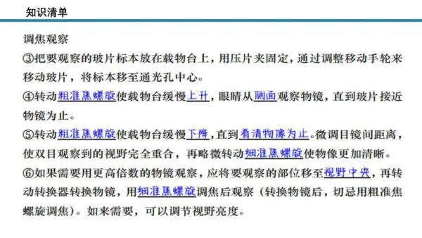 人教版生物七年级上册第一单元《生物与细胞》单元复习课件(共53张PPT)