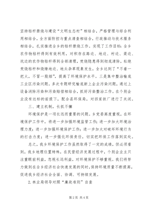 各类自查汇报范本 (2).docx