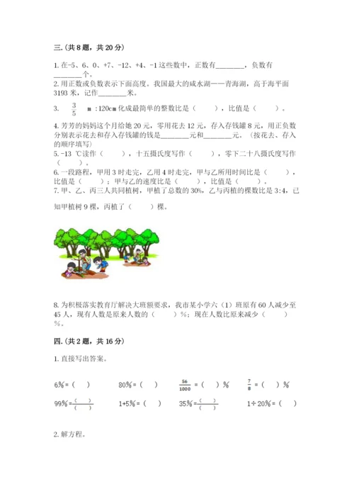 浙教版数学小升初模拟试卷精品【巩固】.docx