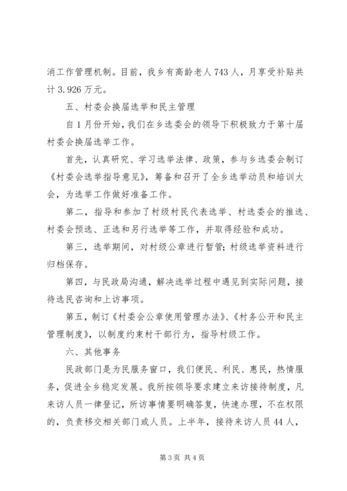 乡镇民政所年度工作总结及工作安排.docx