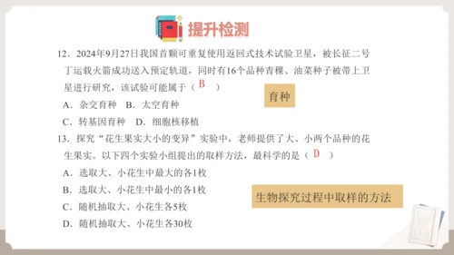 复习专题六生物的遗传与变异（串讲课件）-八年级生物上学期期末考点大串讲（人教版）(共23张PPT)