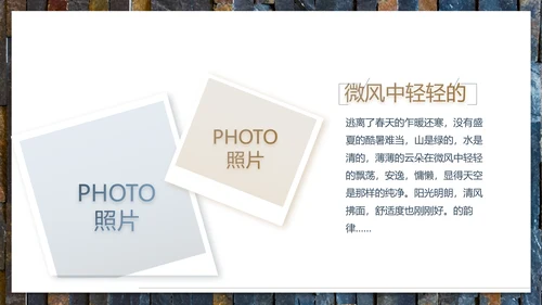 轻简文艺北欧风室内装饰设计方案汇报动态PPT