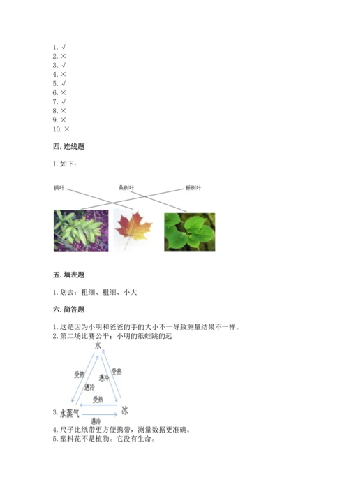 教科版科学一年级上册期末测试卷及答案（新）.docx