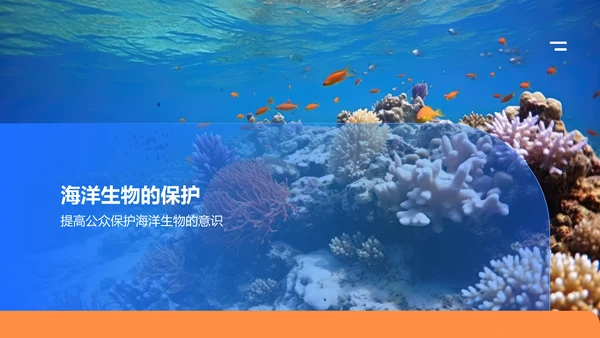 蓝色摄影风海洋生物知识科普PPT模板