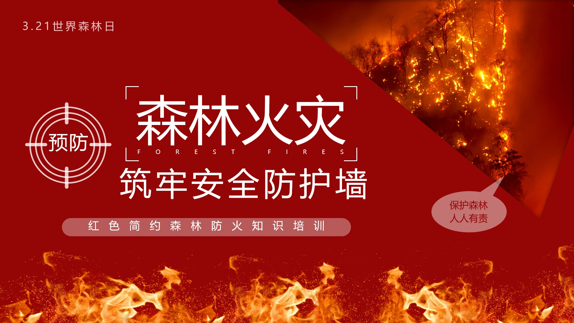 世界森林日森林火灾预防教育学习培训PPT