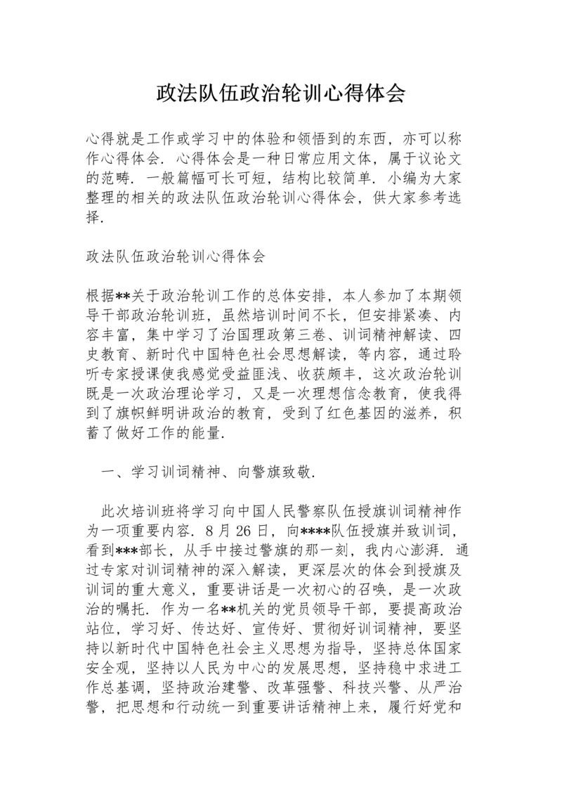 政法队伍政治轮训心得体会.docx