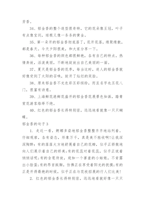 郁金香的句子.docx