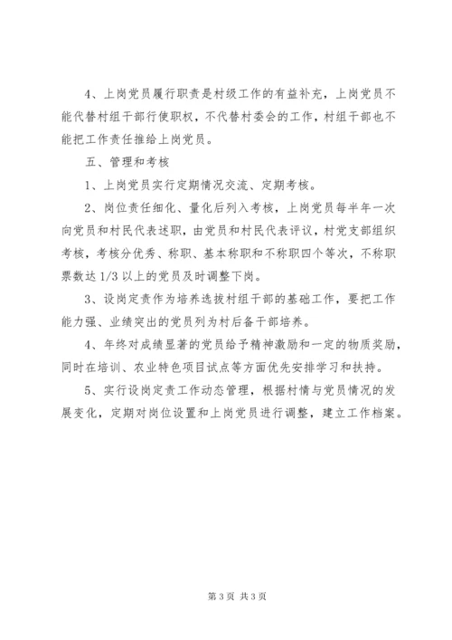 村无职党员设岗定责制度.docx