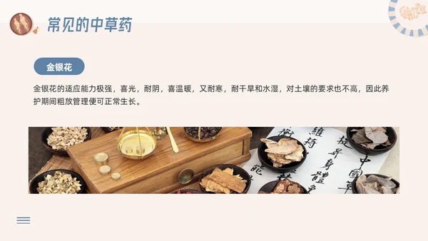蓝色简约神奇中药草PPT模板宣传PPT动态PPT中医药
