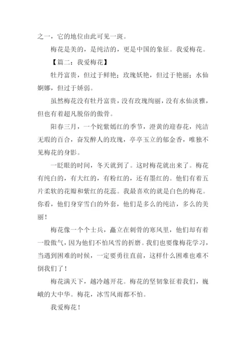 我爱梅花作文.docx