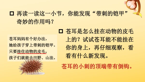 3 植物妈妈有办法  课件