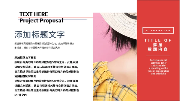 618电商狂欢节方案策划通用PPT模板