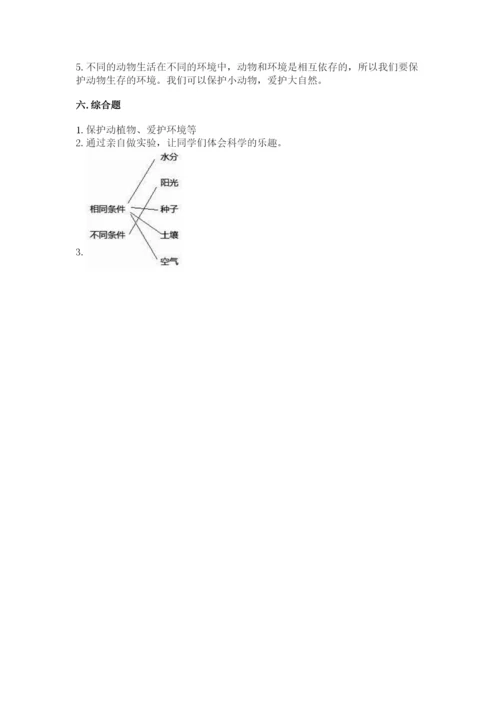 教科版科学五年级下册第一单元《生物与环境》测试卷及完整答案【有一套】.docx
