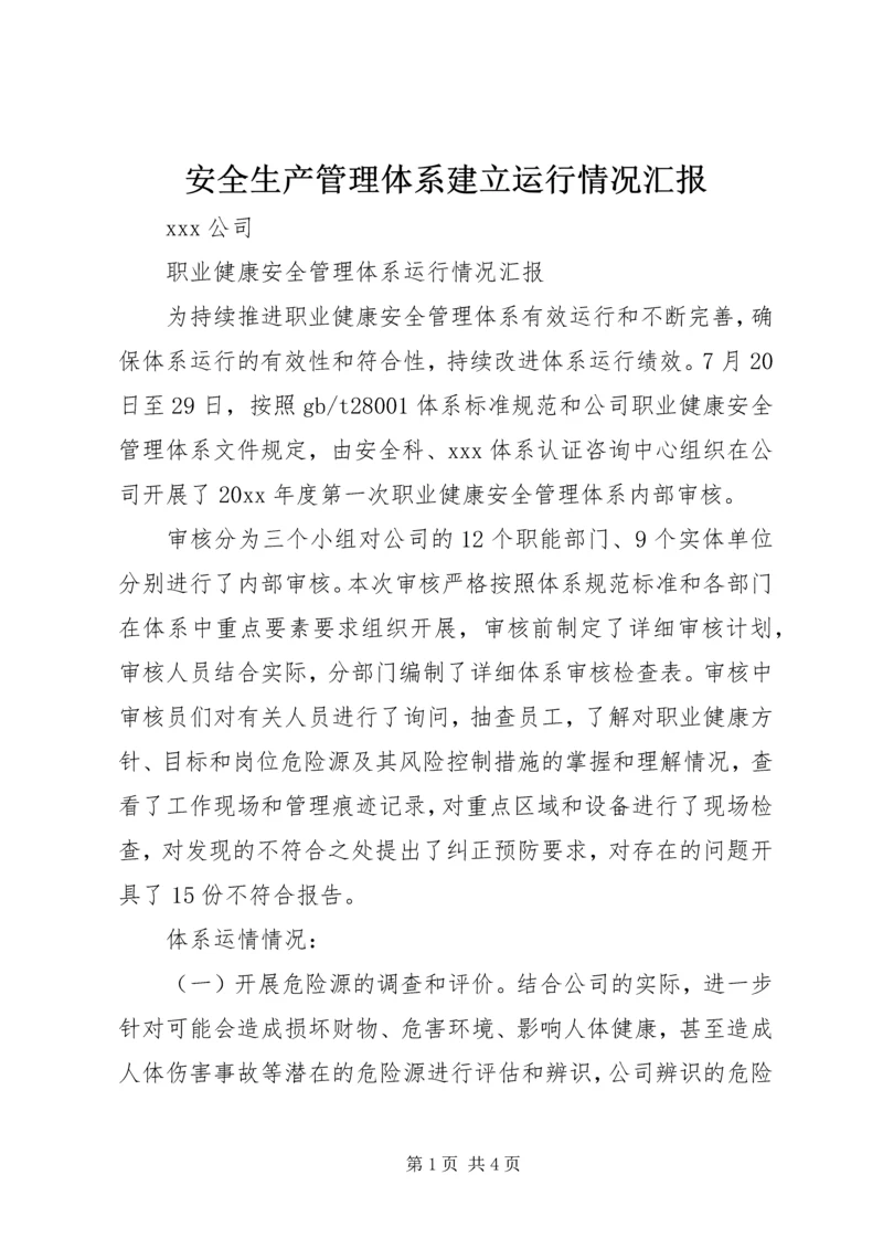 安全生产管理体系建立运行情况汇报 (5).docx