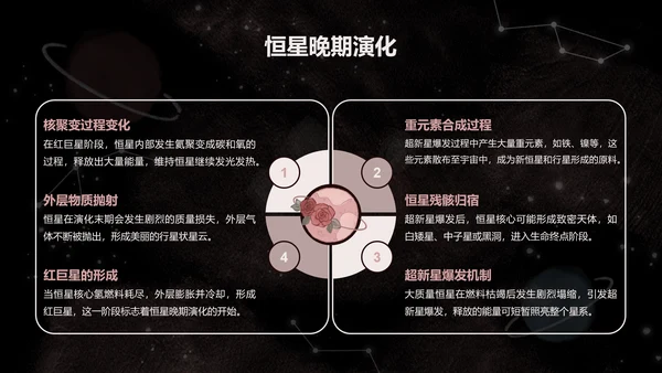 宇航黑白猫黑色卡通风宇宙知识科普