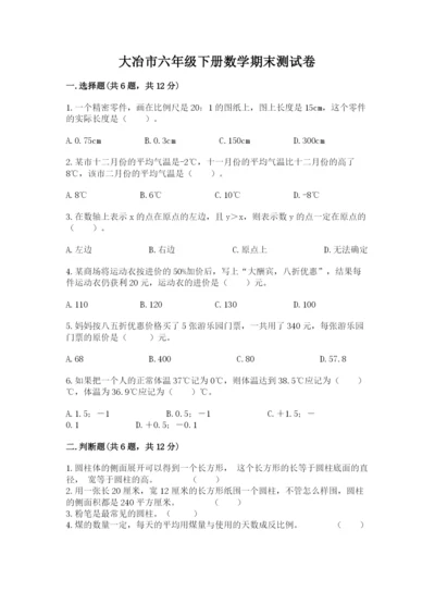 大冶市六年级下册数学期末测试卷加精品答案.docx