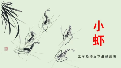 第15课《小虾》（教学课件）