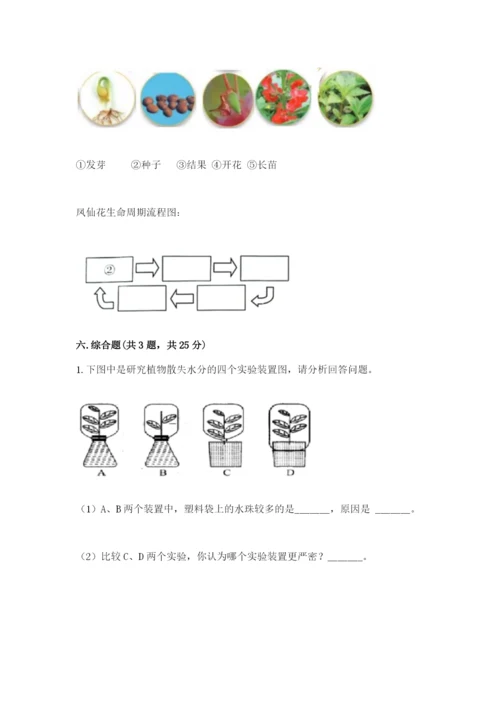 科学四年级下册第一单元植物的生长变化测试卷精品（必刷）.docx