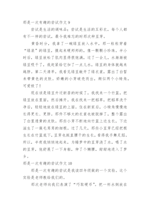 那是一次有趣的尝试作文_5.docx