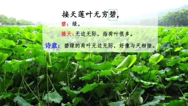 15 《古诗二首》（第一课时）——《晓出净慈寺送林子方》  课件