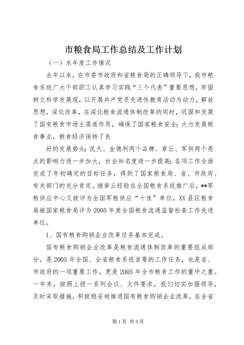 市粮食局工作总结及工作计划 (7).docx