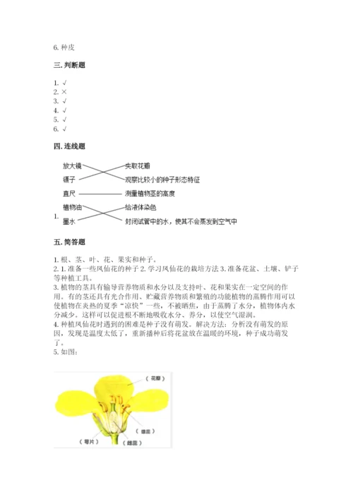 科学四年级下册第一单元《植物的生长变化》测试卷【精华版】.docx