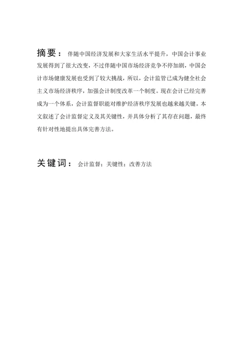 会计监管存在的问题及改进标准措施.docx