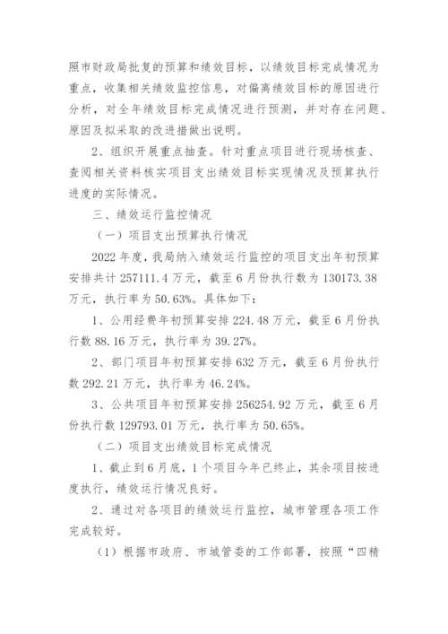 项目支出绩效目标执行监控报告.docx