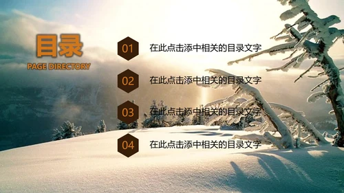 冬季冬天立冬圣诞节元旦新年PPT模板