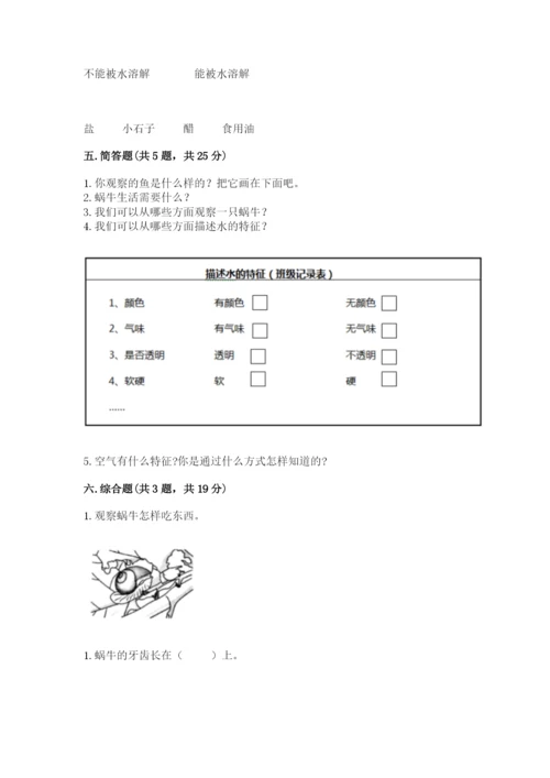 教科版一年级下册科学期末测试卷带答案（最新）.docx