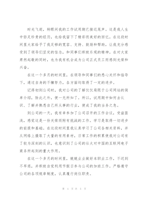 新员工试用期工作个人总结1000字.docx