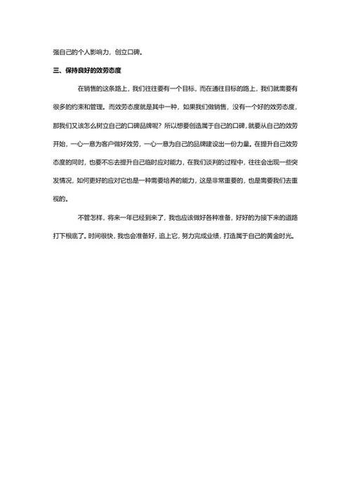工作总结及明年计划word模板