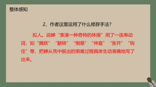 八年级下册蝉课件PPT模板