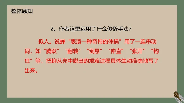八年级下册蝉课件PPT模板