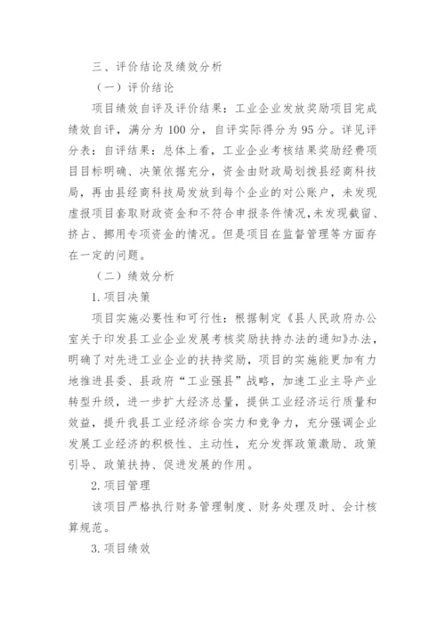 项目绩效评价报告.docx