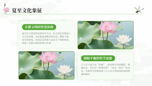 夏至的传统与现代融合