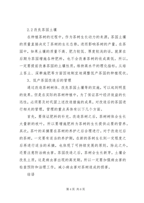 茶园改造实施方案 (4).docx