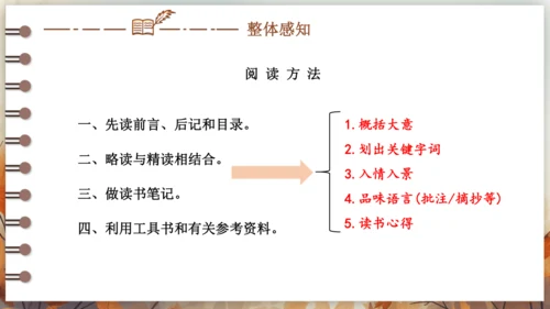 第三单元 名著导读《儒林外史》讽刺作品的阅读  课件(共31张PPT) 2024-2025学年语文部
