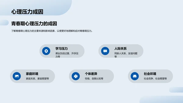 青春压力解析报告
